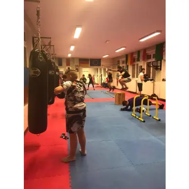 Sac de Frappe Pro Line Budofight - 15