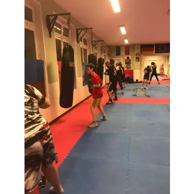 Sac de Frappe Pro Line Budofight - 16