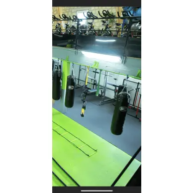 Sac de Frappe Pro Line Budofight - 18