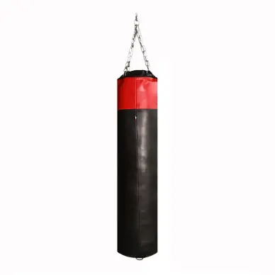 Sac de Frappe Pro Line Budofight - 5