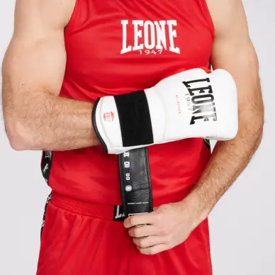 Gants de Boxe Leone Il Tecnico 3 - 9