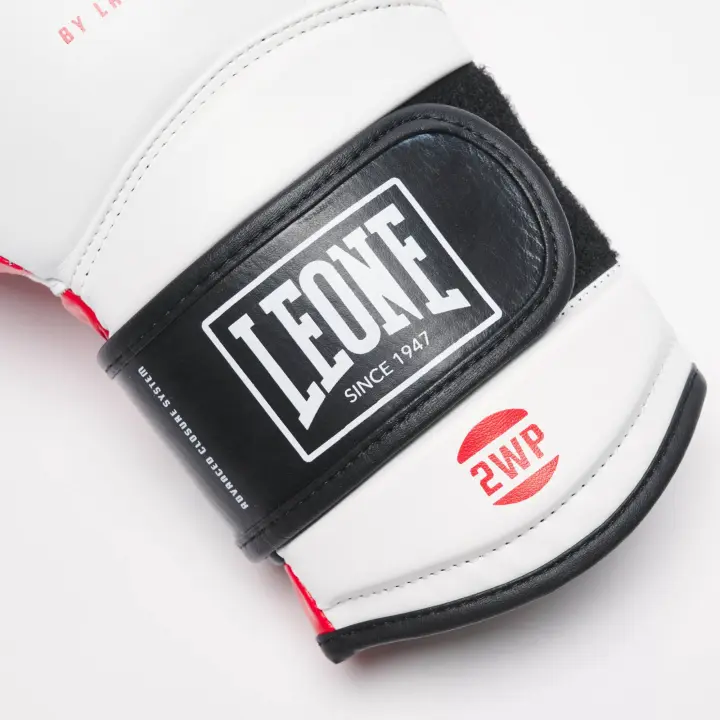 Gants de Boxe Leone Il Tecnico 3