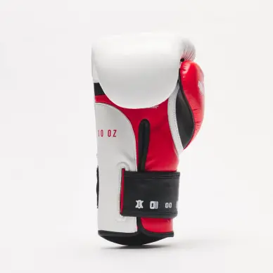 Gants de Boxe Leone Il Tecnico 3 - 3