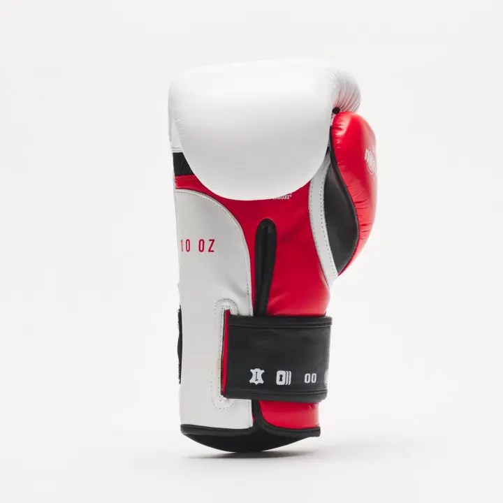 Gants de Boxe Leone Il Tecnico 3