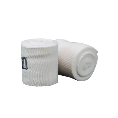 Bandes Mexicaines Cleto Reyes