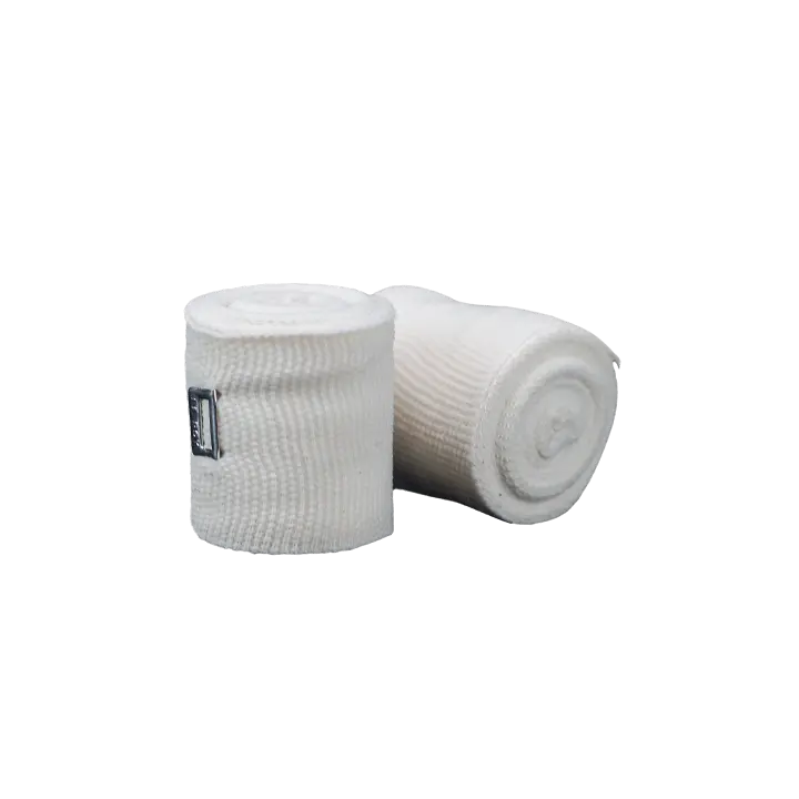 Bandes Mexicaines Cleto Reyes