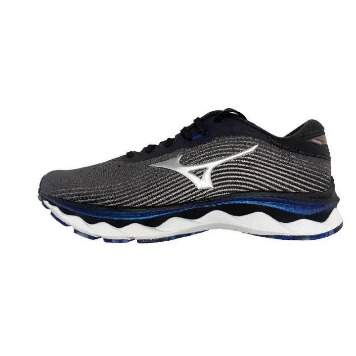 Chaussure de Sport Mizuno Wave Sky 5 Silver