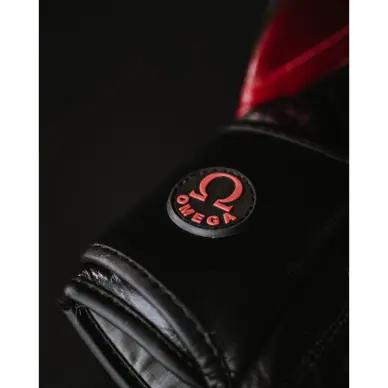 Gants de Boxe Omega 100% Cuir - 12