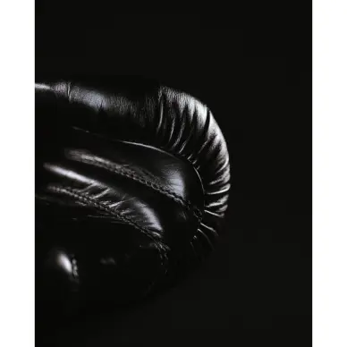 Gants de Boxe Omega 100% Cuir - 11