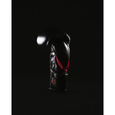Gants de Boxe Omega 100% Cuir - 10