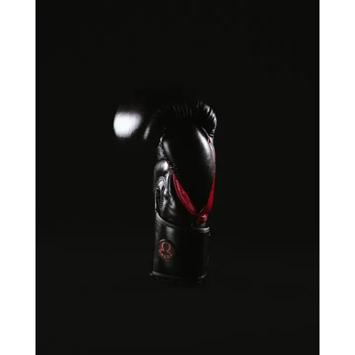 Gants de Boxe Omega 100% Cuir
