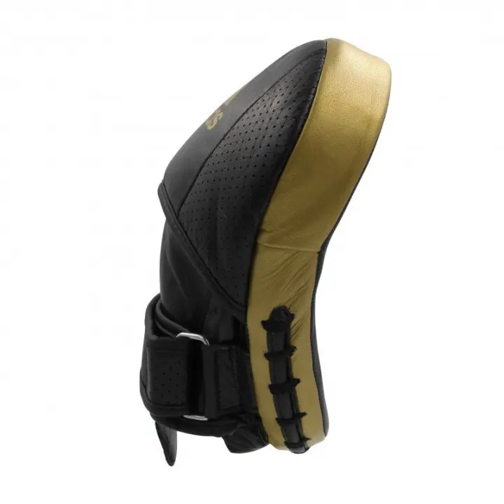 Pattes d'ours de Boxe Adistar Pro