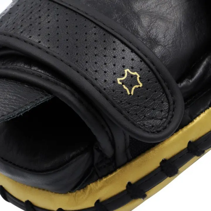 Pattes d'ours de Boxe Adistar Pro