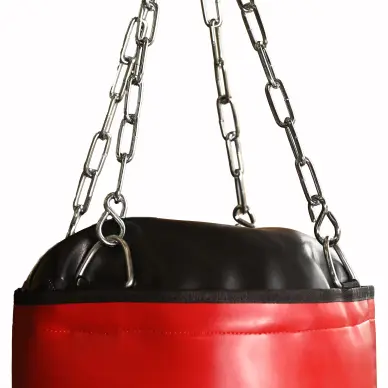 Sac de Frappe Pro Line Budofight - 8