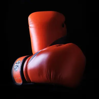 Gants de Boxe Dragon Ball Z Goku