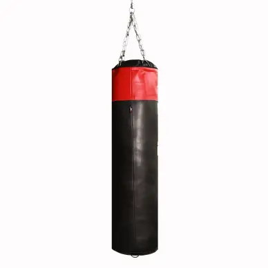 Sac de Frappe Pro Line Budofight - 3