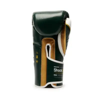 Gants de Boxe Leone Shock X Vert - 3