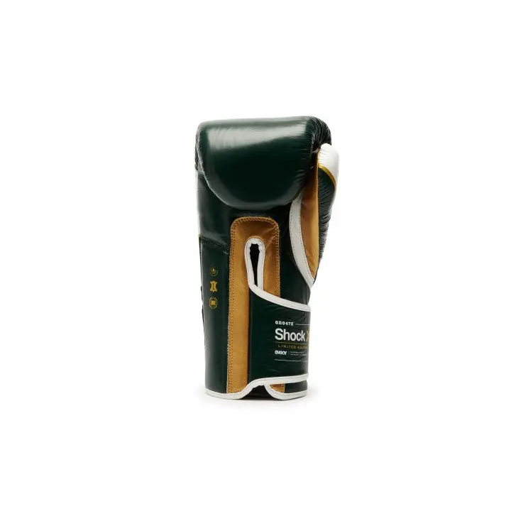 Gants de Boxe Leone Shock X Vert