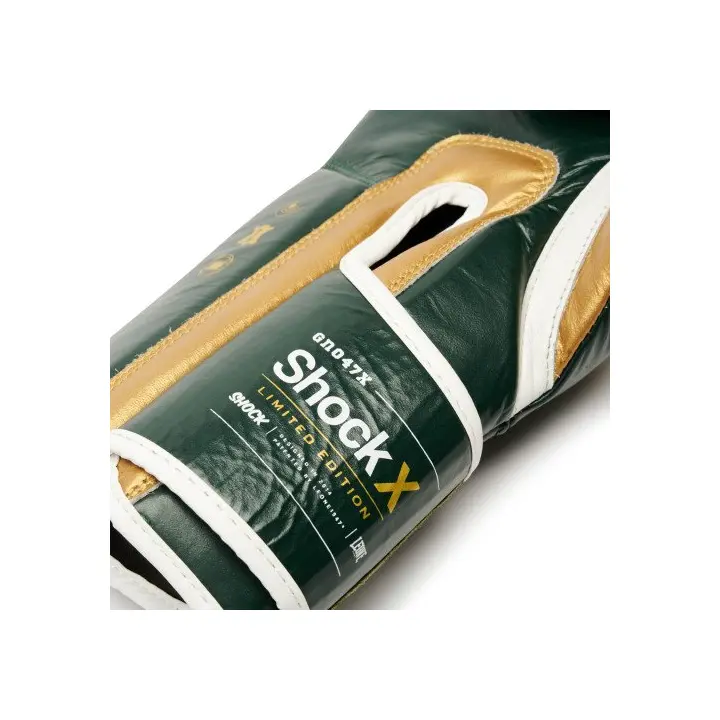 Gants de Boxe Leone Shock X Vert