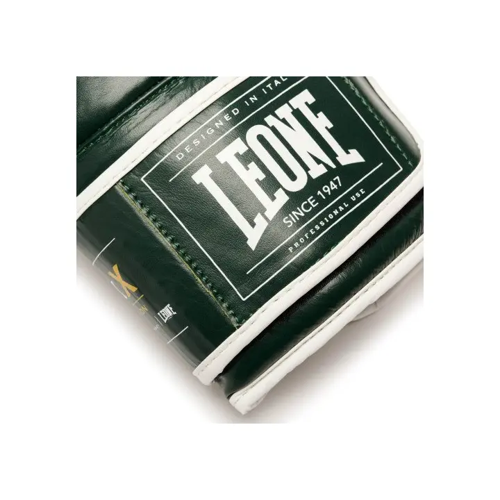 Gants de Boxe Leone Shock X Vert