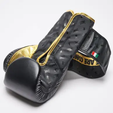 Gants de Boxe Leone DNA 100% Cuir - 3