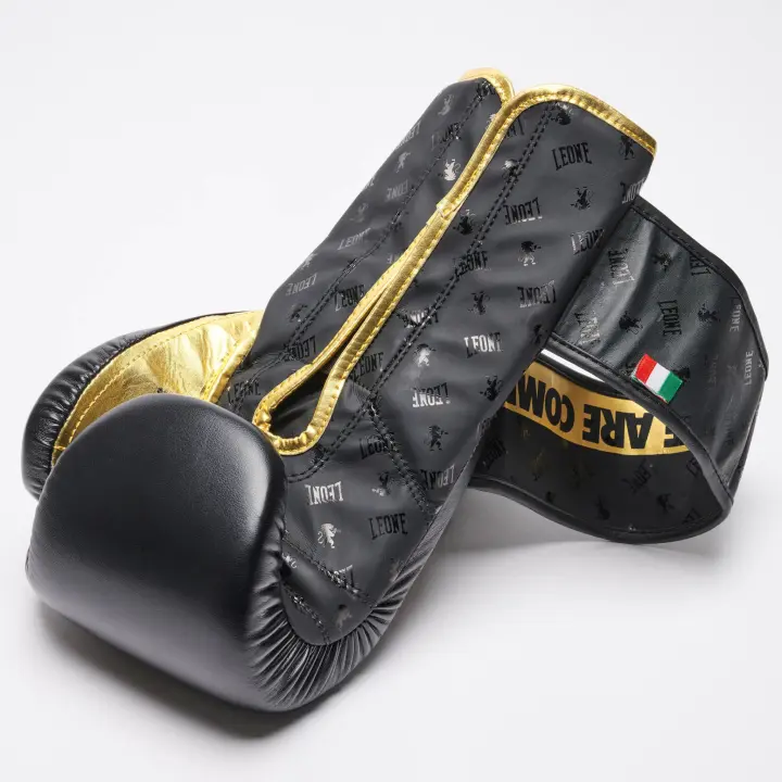 Gants de Boxe Leone DNA 100% Cuir