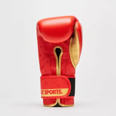 Gants de Boxe Leone DNA 100% Cuir - 23