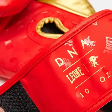 Gants de Boxe Leone DNA 100% Cuir - 24