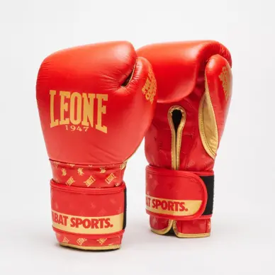 Gants de Boxe Leone DNA 100% Cuir - 19
