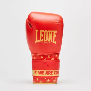 Gants de Boxe Leone DNA 100% Cuir - 20
