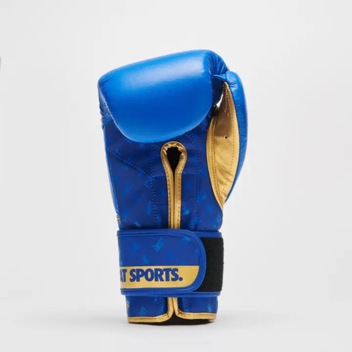 Gants de Boxe Leone DNA 100% Cuir