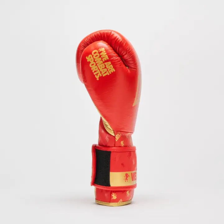 Gants de Boxe Leone DNA 100% Cuir