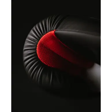 Gants de Boxe Entrainement Club Line - 10