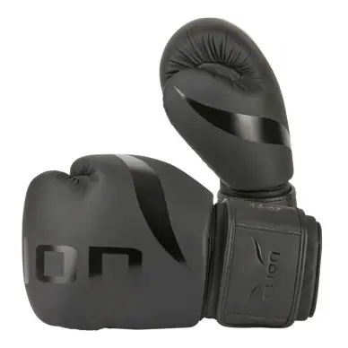 Gants de Boxe Entraînement Elion Extravagant - 15