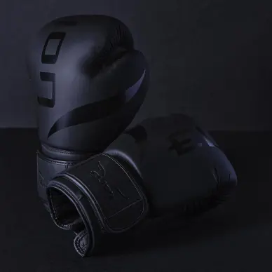 Gants de Boxe Entraînement Elion Extravagant - 16