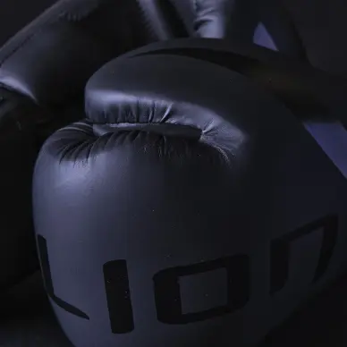 Gants de Boxe Entraînement Elion Extravagant - 17