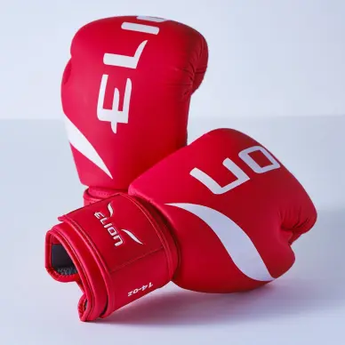 Gants de Boxe Entraînement Elion Extravagant - 20