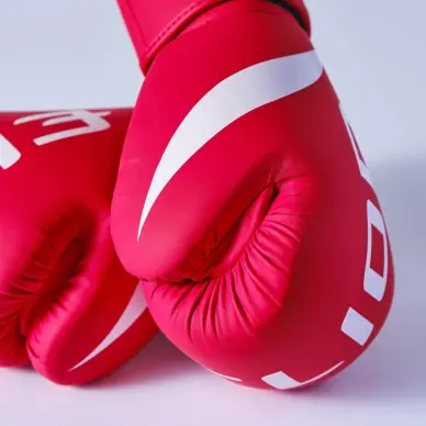 Gants de Boxe Entraînement Elion Extravagant - 21
