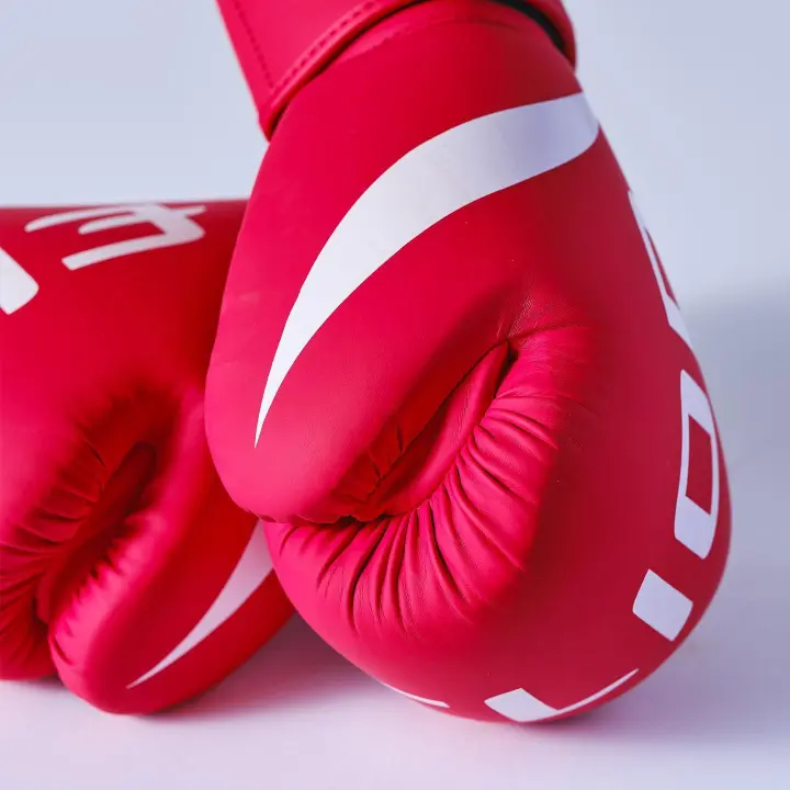 Gants de Boxe Entraînement Elion Extravagant