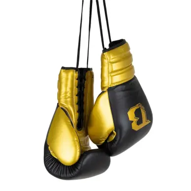 Gants de Boxe à Lacets Booster BFG RS - 7