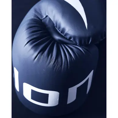 Gants de Boxe Entraînement Elion Extravagant - 24