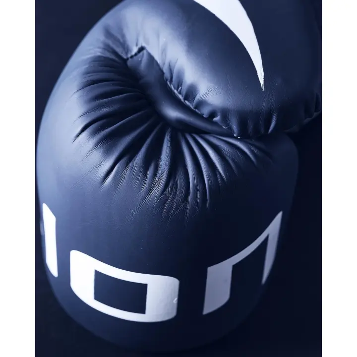 Gants de Boxe Entraînement Elion Extravagant
