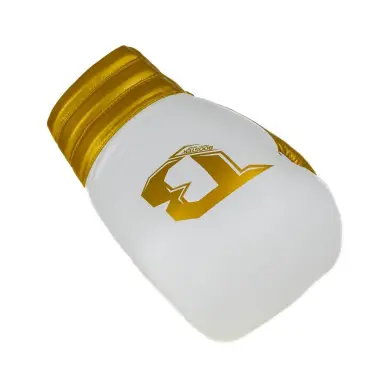 Gants de Boxe à Lacets Booster BFG RS - 11