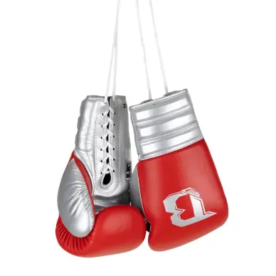 Gants de Boxe à Lacets Booster BFG RS - 21