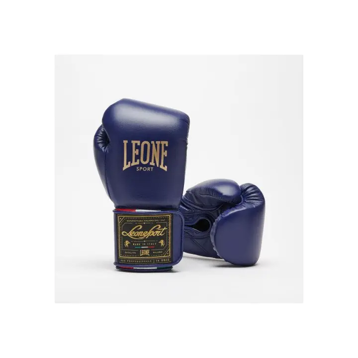 Gants de Boxe Leone Orlando Tricolore