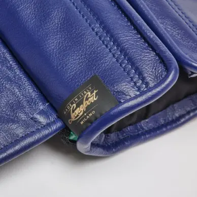 Gants de Boxe Leone Orlando Tricolore - 16