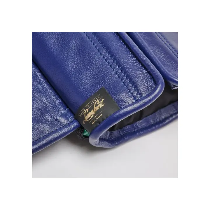 Gants de Boxe Leone Orlando Tricolore