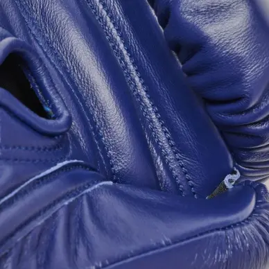 Gants de Boxe Leone Orlando Tricolore - 17