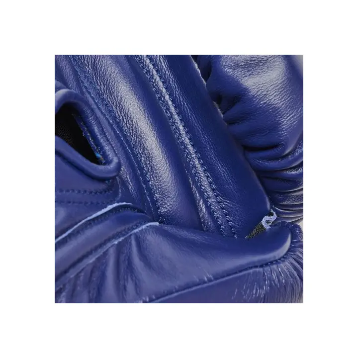 Gants de Boxe Leone Orlando Tricolore