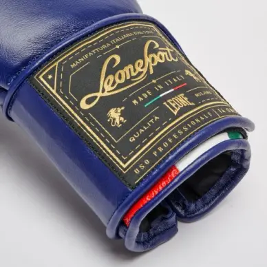 Gants de Boxe Leone Orlando Tricolore - 18